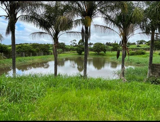 FARM FOR SALE IN SHELLY BEACH